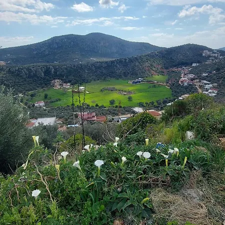 Sarp Kalkan *
