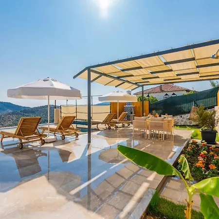 Sarp Kalkan