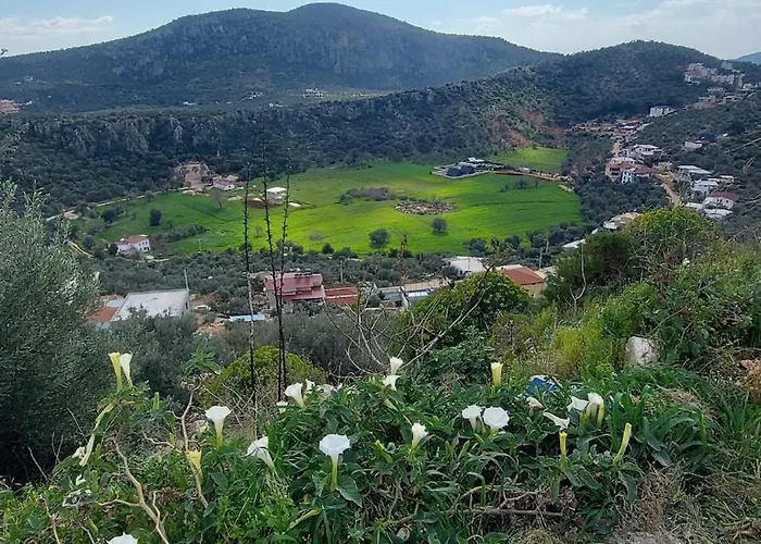 Sarp Kalkan *