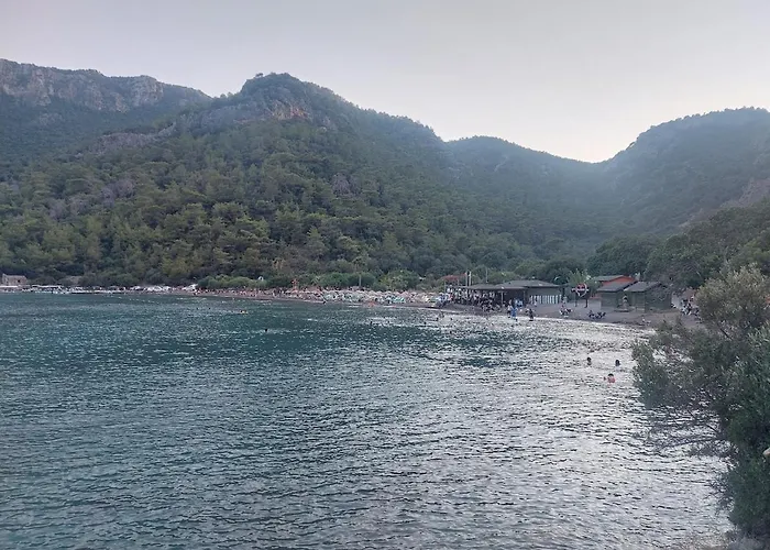 Sarp Kalkan فيلة كاس