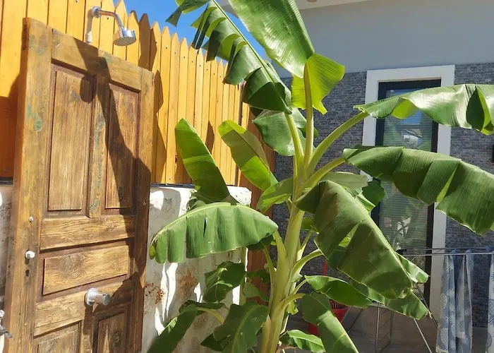 Sarp Kalkan * كاس