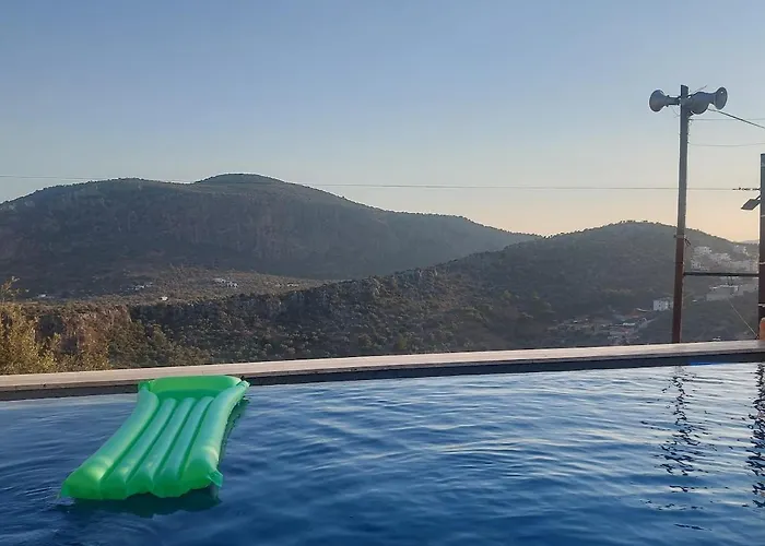 فيلة Sarp Kalkan *