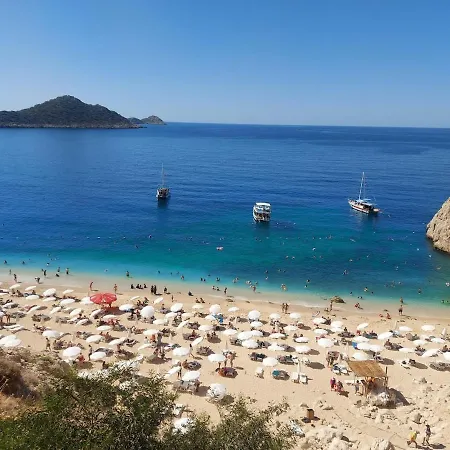 Sarp Kalkan *