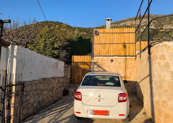 Sarp Kalkan *