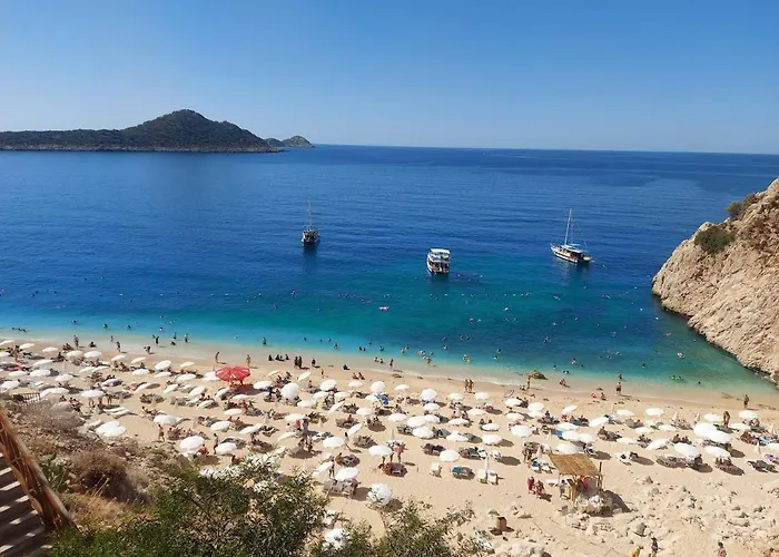 Sarp Kalkan *